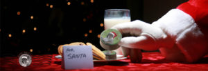 Florida Santa Squirrel™ | Party Goods and Treats