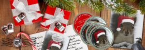 Official Santa Squirrel™ All Products