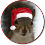 Original Santa Squirrel™
